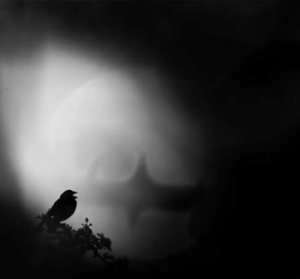 photo Antoine Dusart